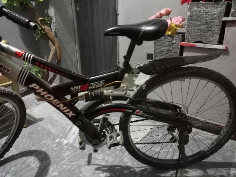 phoenix Bicycle for sale 6