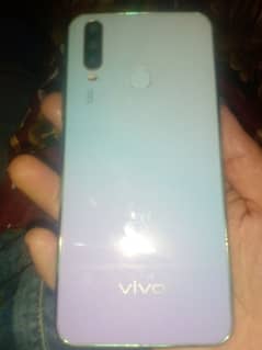 vivo