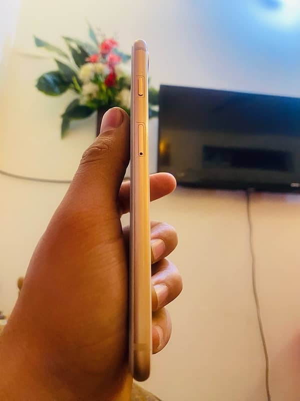 iPhone 8plus PTA Approved Golden colour 1