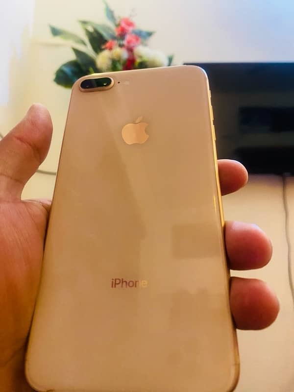 iPhone 8plus PTA Approved Golden colour 2