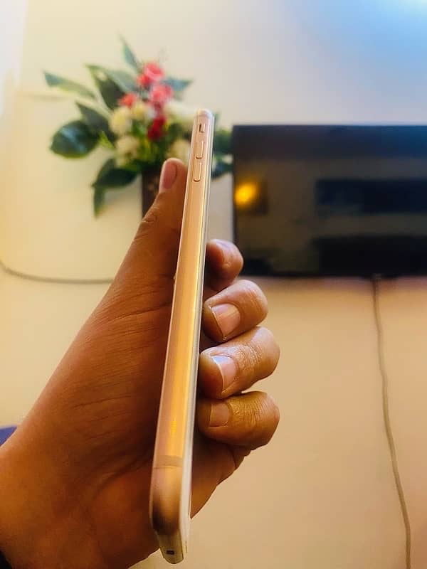 iPhone 8plus PTA Approved Golden colour 3