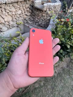 iphone xr factory