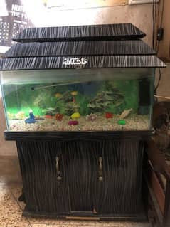 FISH AQUARIUM