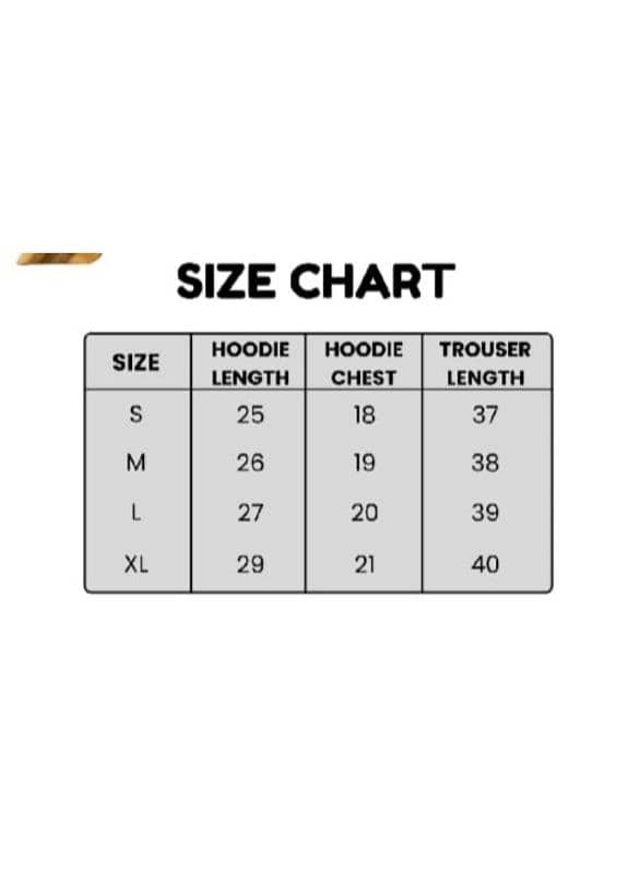 Men's fleece printed Hoodie 2