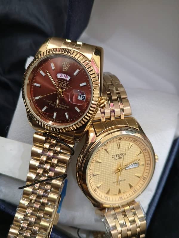 Citizen and Rolex Beautiful Watches 2