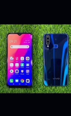 vivo