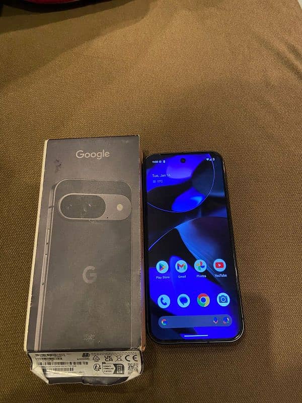 pixel 9 pta approved 1