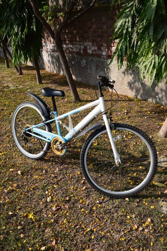 Hybrid Kids bicycle 1