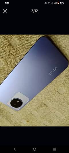 vivo