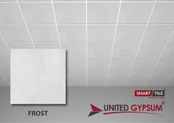 united gypsum 2x2 discoty ceiling