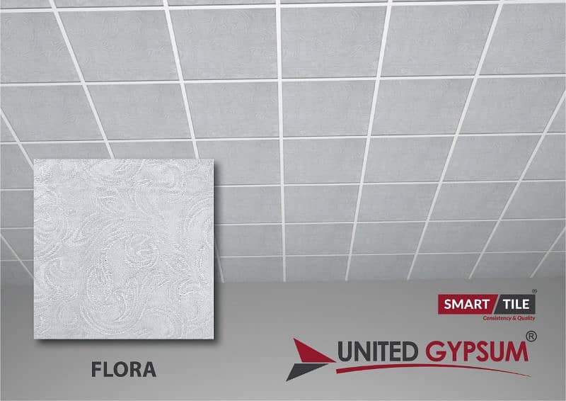 united gypsum 2x2 discoty ceiling 2