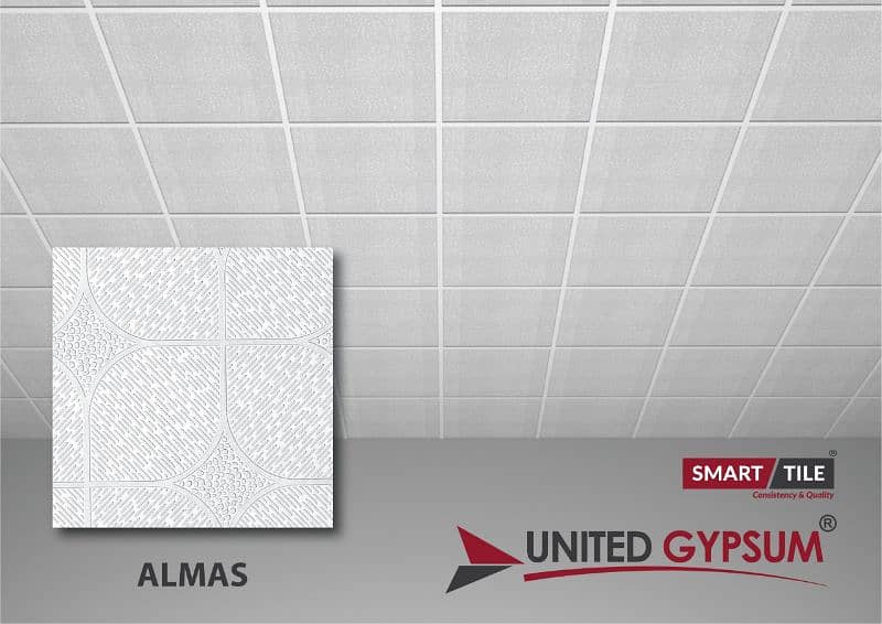 united gypsum 2x2 discoty ceiling 4