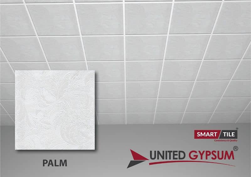 united gypsum 2x2 discoty ceiling 5