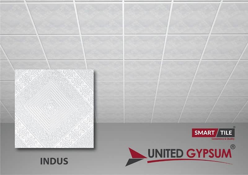 united gypsum 2x2 discoty ceiling 6