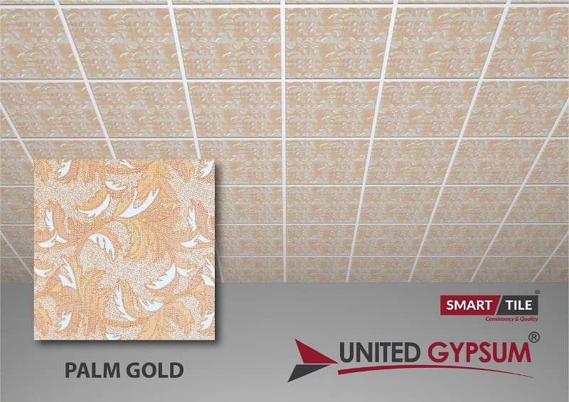 united gypsum 2x2 discoty ceiling 8