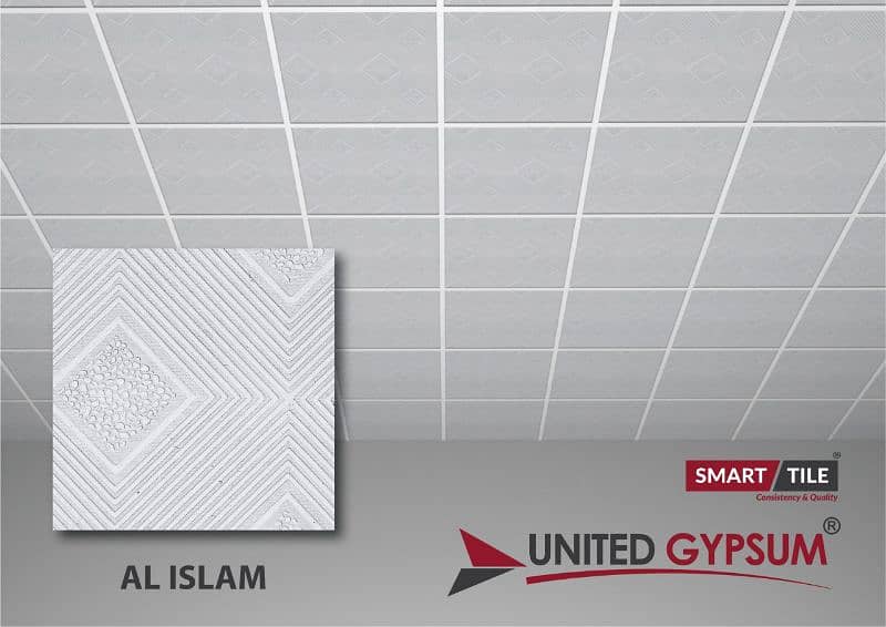 united gypsum 2x2 discoty ceiling 9