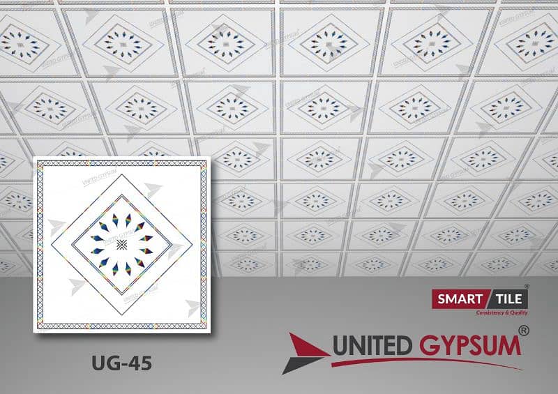 united gypsum 2x2 discoty ceiling 11