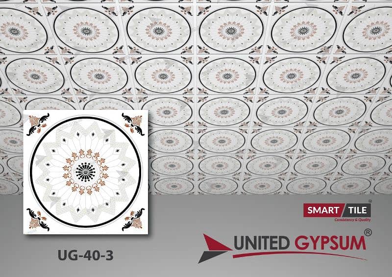 united gypsum 2x2 discoty ceiling 17