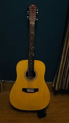 12 string guitar with fisherman pickup indiana