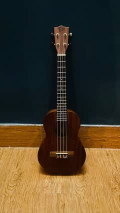 new ukulele full sized