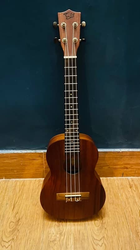 new ukulele full sized 1