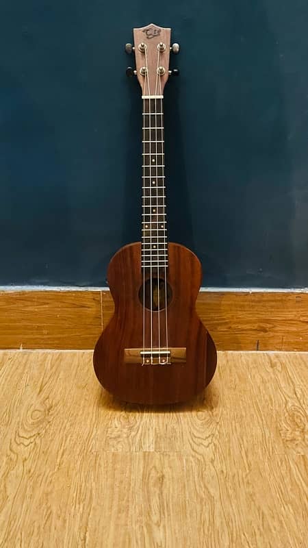 new ukulele full sized 2