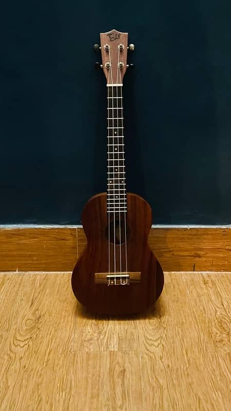 new ukulele full sized 3