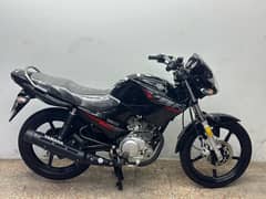 yamaha ybr125cc 2024 model ( unregistered apl )