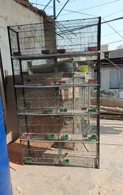 10 portion heavy iron folding cage. . without try