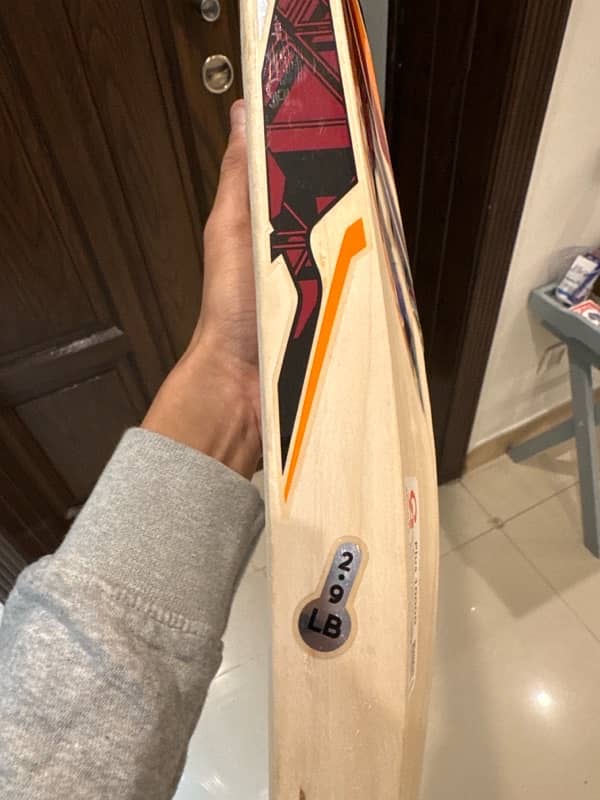 CA Original Plus 10000 Hardball cricket bat 3