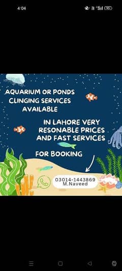 Aquarium cleaning services available in LHR 03141443869