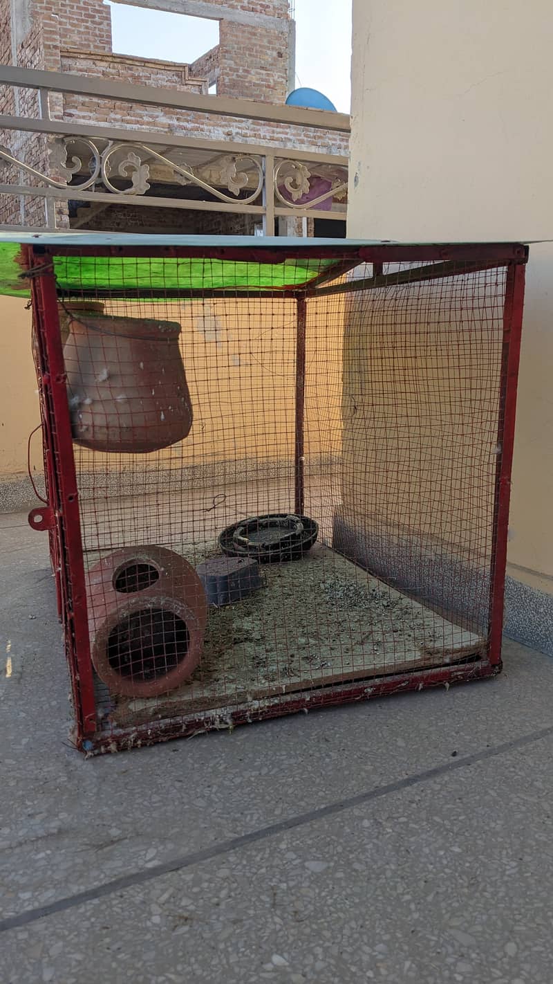 cages available for sale 4