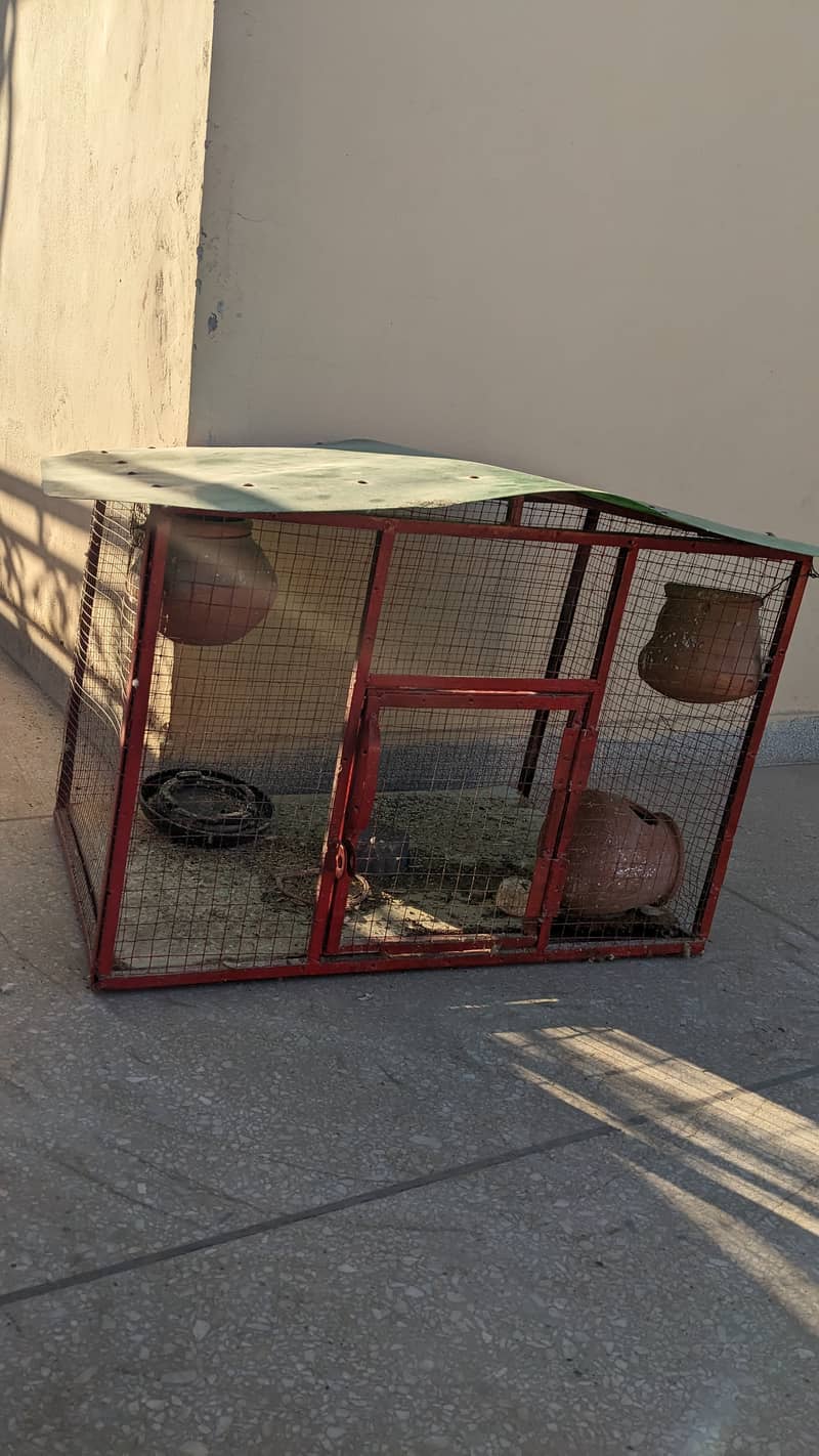 cages available for sale 5