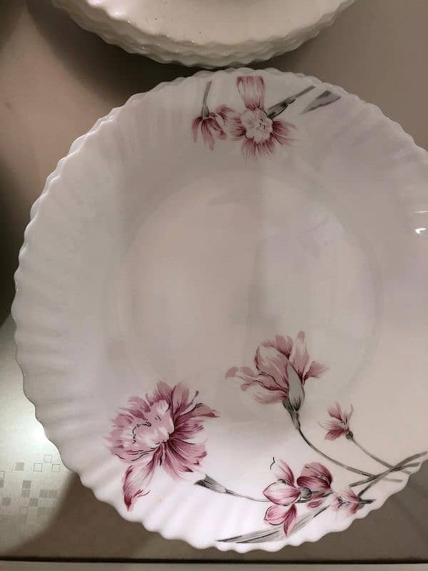 dinnerr plates 3