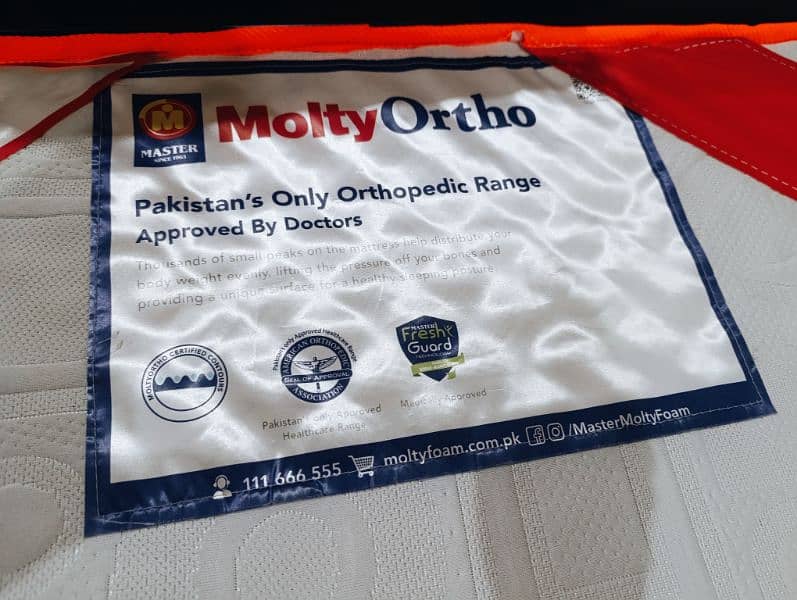 molty ortho extra firm 2