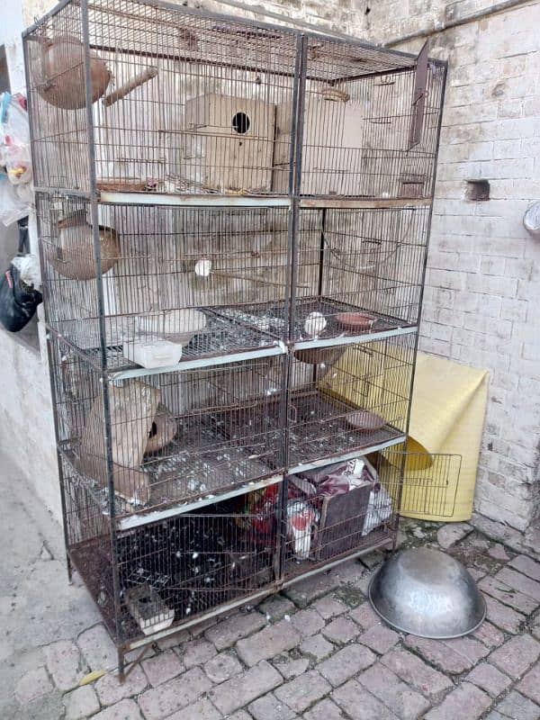 bird cage 2