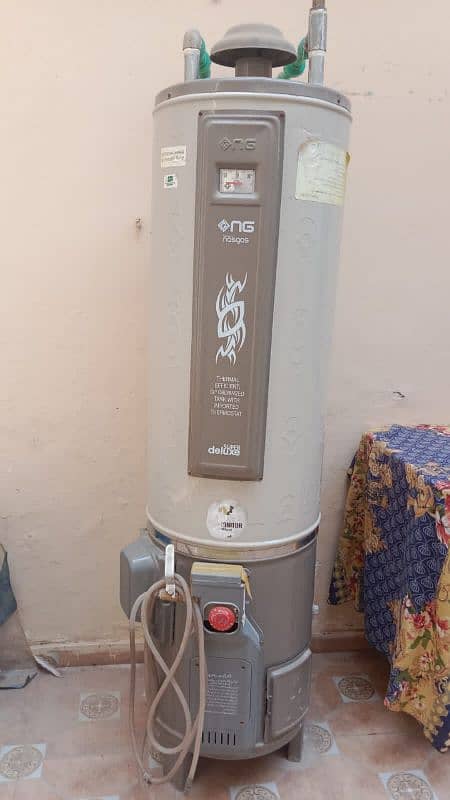 geyser for sale 2