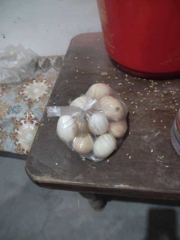 Fertile Eggs Golden Misri Fertile Eggs Desi murga eggs Desi eggs Golde 1