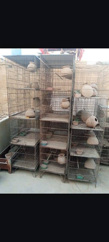 cage for sell 1