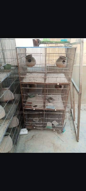 cage for sell 2