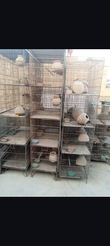 cage for sell 3