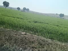 1600 kanal agriculture land sale from Multan city 90 km