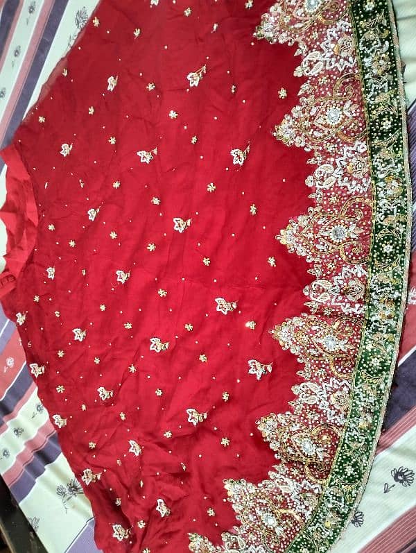 bridle red chiffon lehnga. . . used like new 1