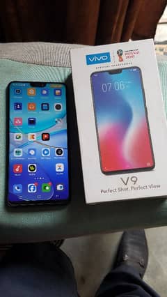 Vivo