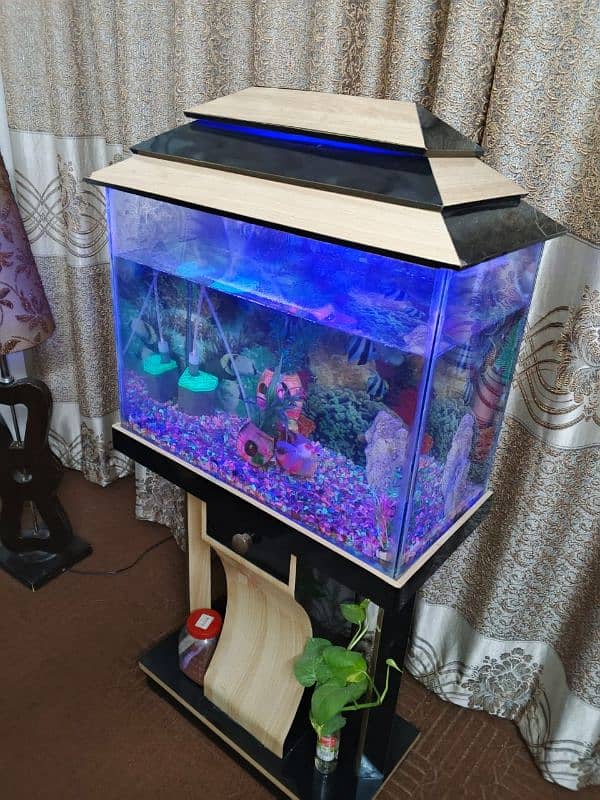 fish aquarium for sale 0