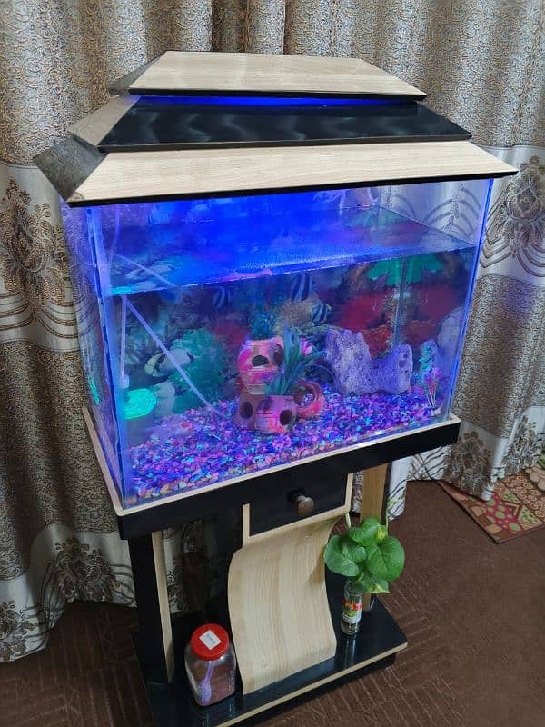 fish aquarium for sale 1