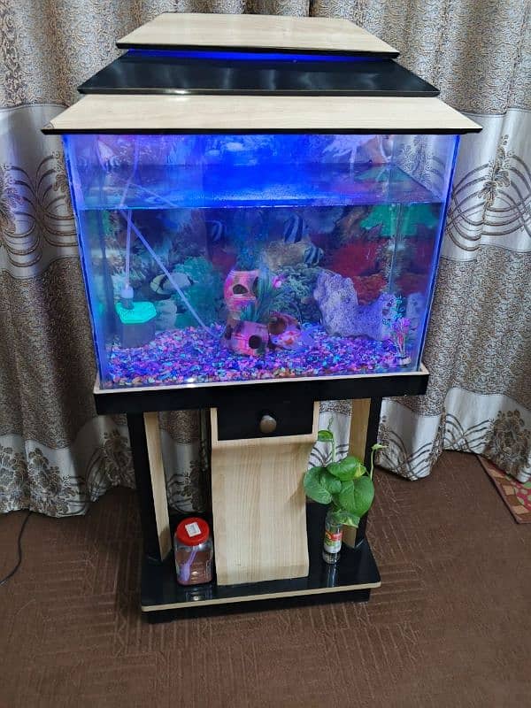 fish aquarium for sale 2