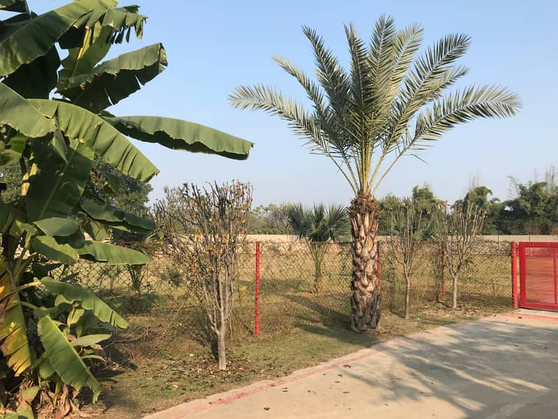 5 Kanal Land In Luxury Area Of Theater Bedian Road Lahore For Sale 1