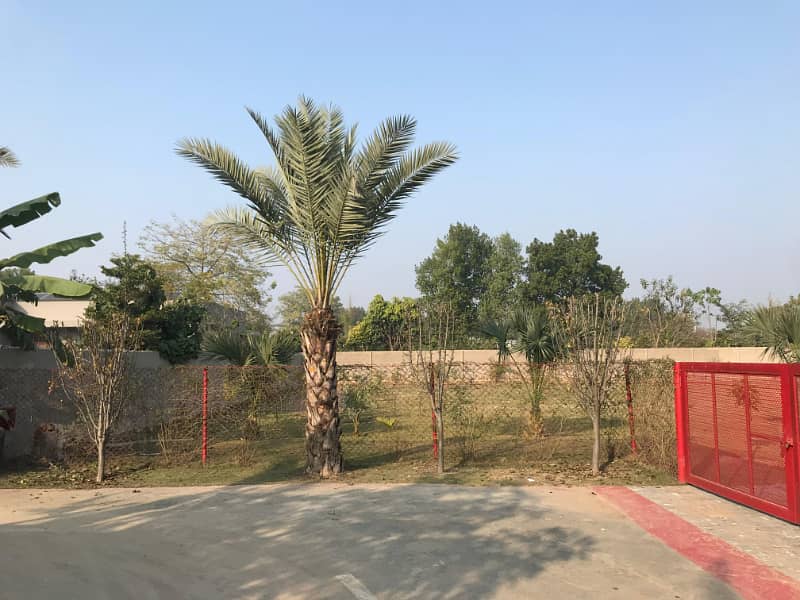 5 Kanal Land In Luxury Area Of Theater Bedian Road Lahore For Sale 4