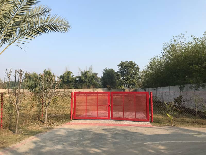 5 Kanal Land In Luxury Area Of Theater Bedian Road Lahore For Sale 6